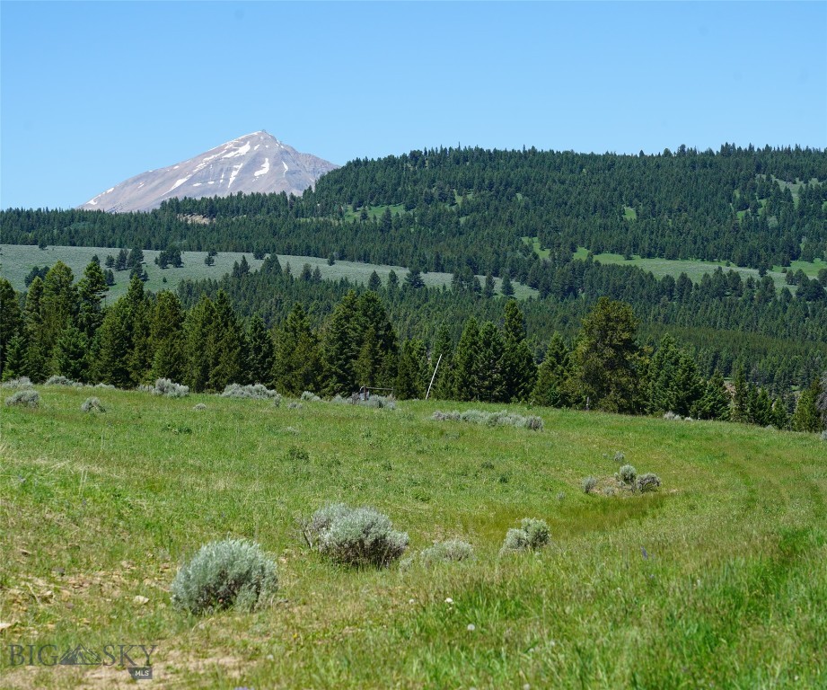 Big Sky Real Estate Co.