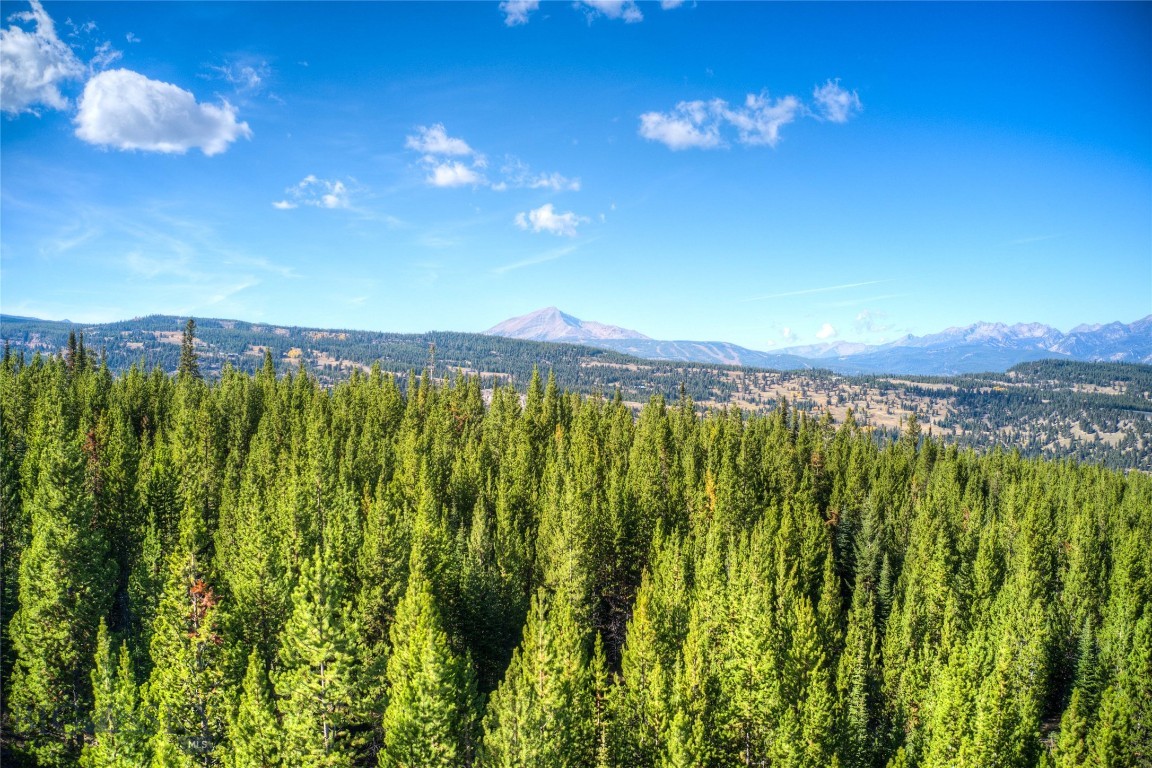 Big Sky Real Estate Co.