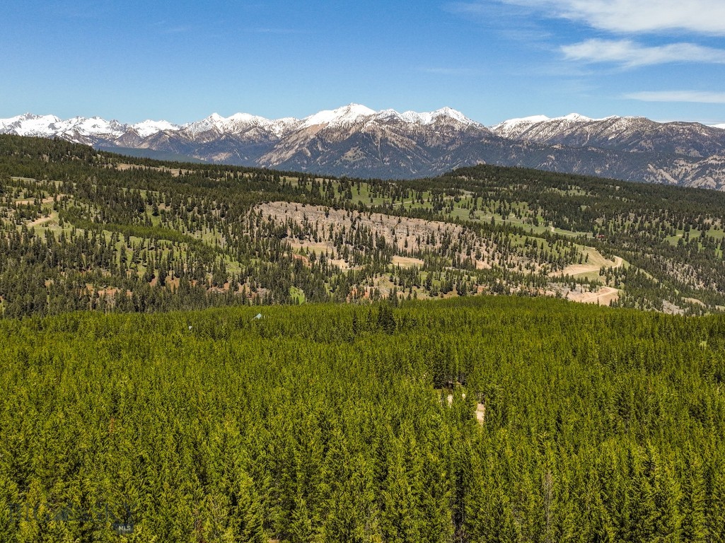 Big Sky Real Estate Co.