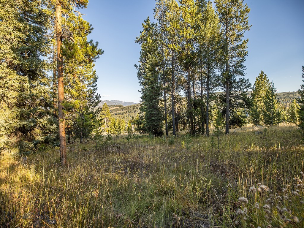Big Sky Real Estate Co.