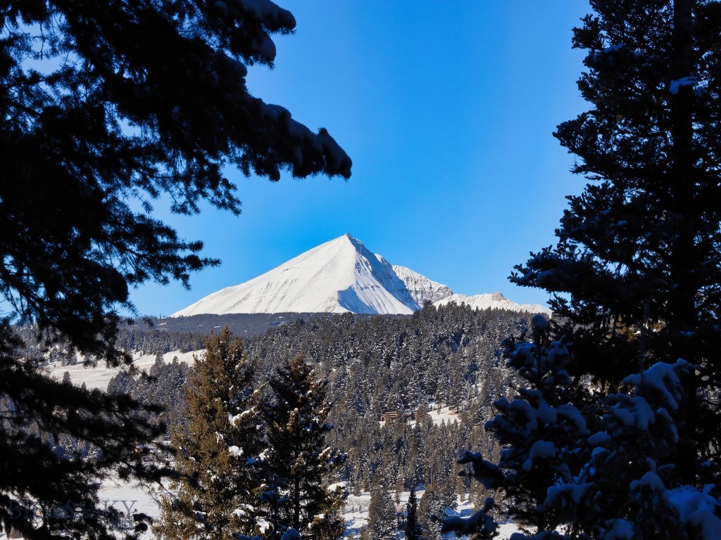 Big Sky Real Estate Co.