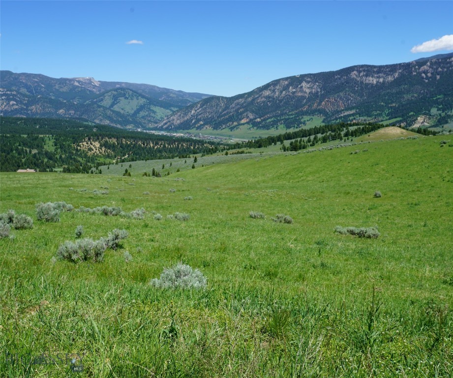 Big Sky Real Estate Co.