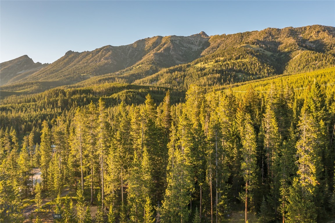 Big Sky Real Estate Co.