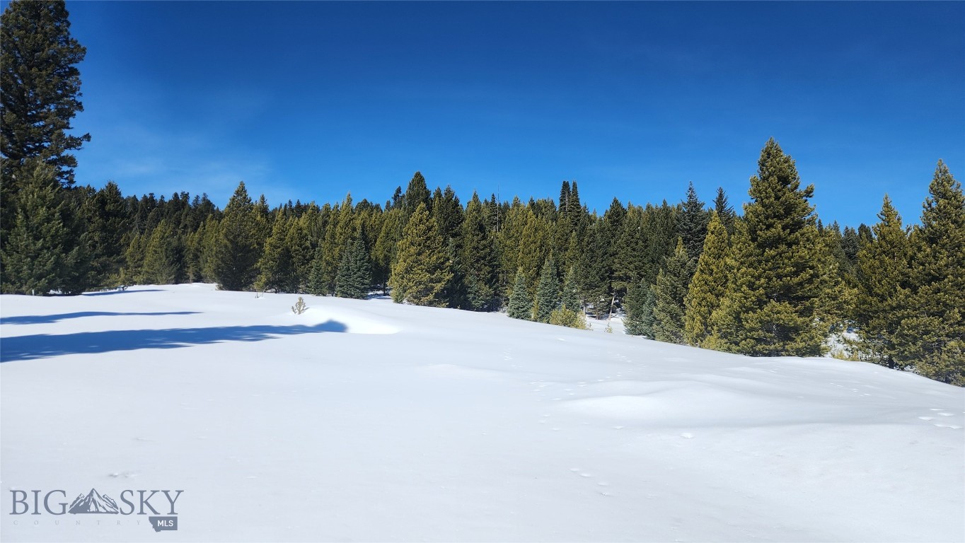 Big Sky Real Estate Co.