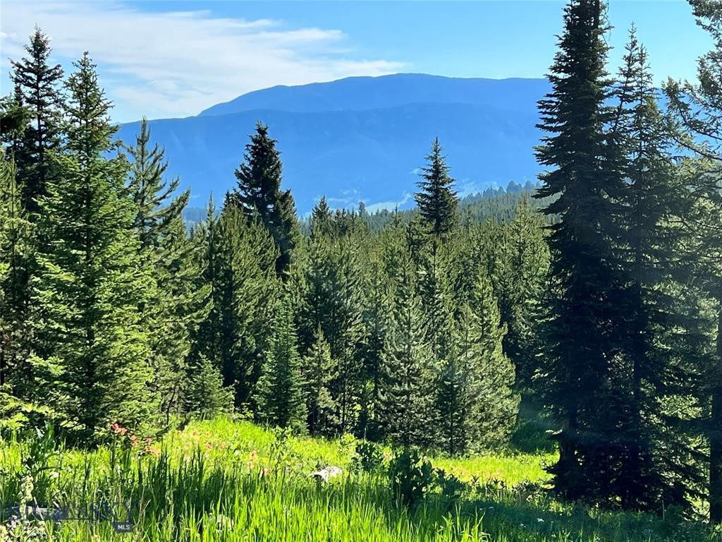 Big Sky Real Estate Co.