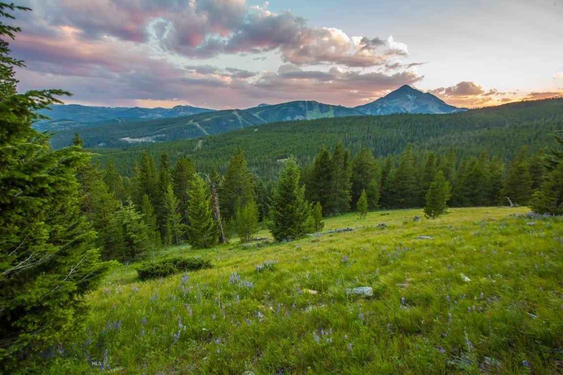 Big Sky Real Estate Co.