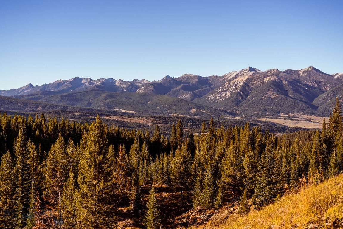Big Sky Real Estate Co.