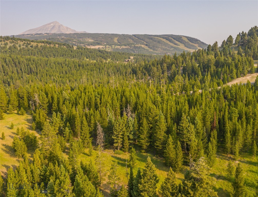 Big Sky Real Estate Co.