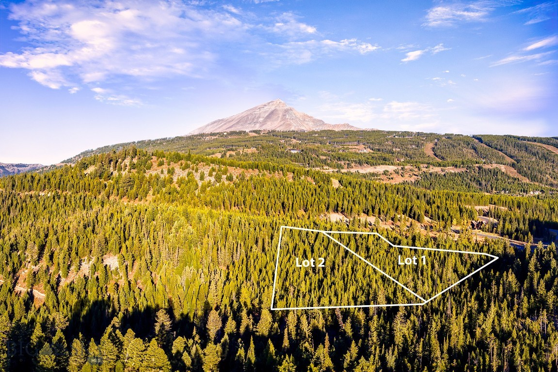 Big Sky Real Estate Co.
