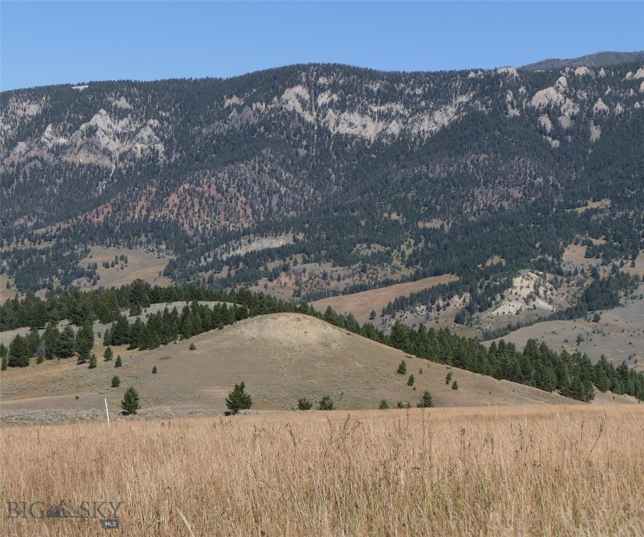 Big Sky Real Estate Co.