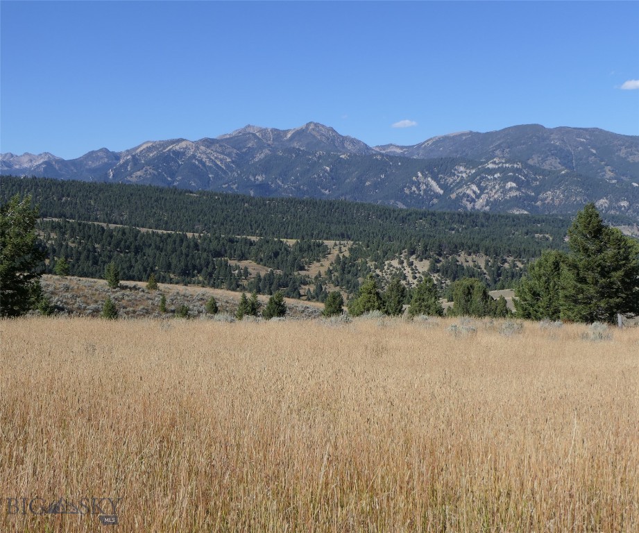 Big Sky Real Estate Co.