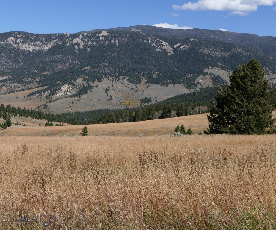 Big Sky Real Estate Co.