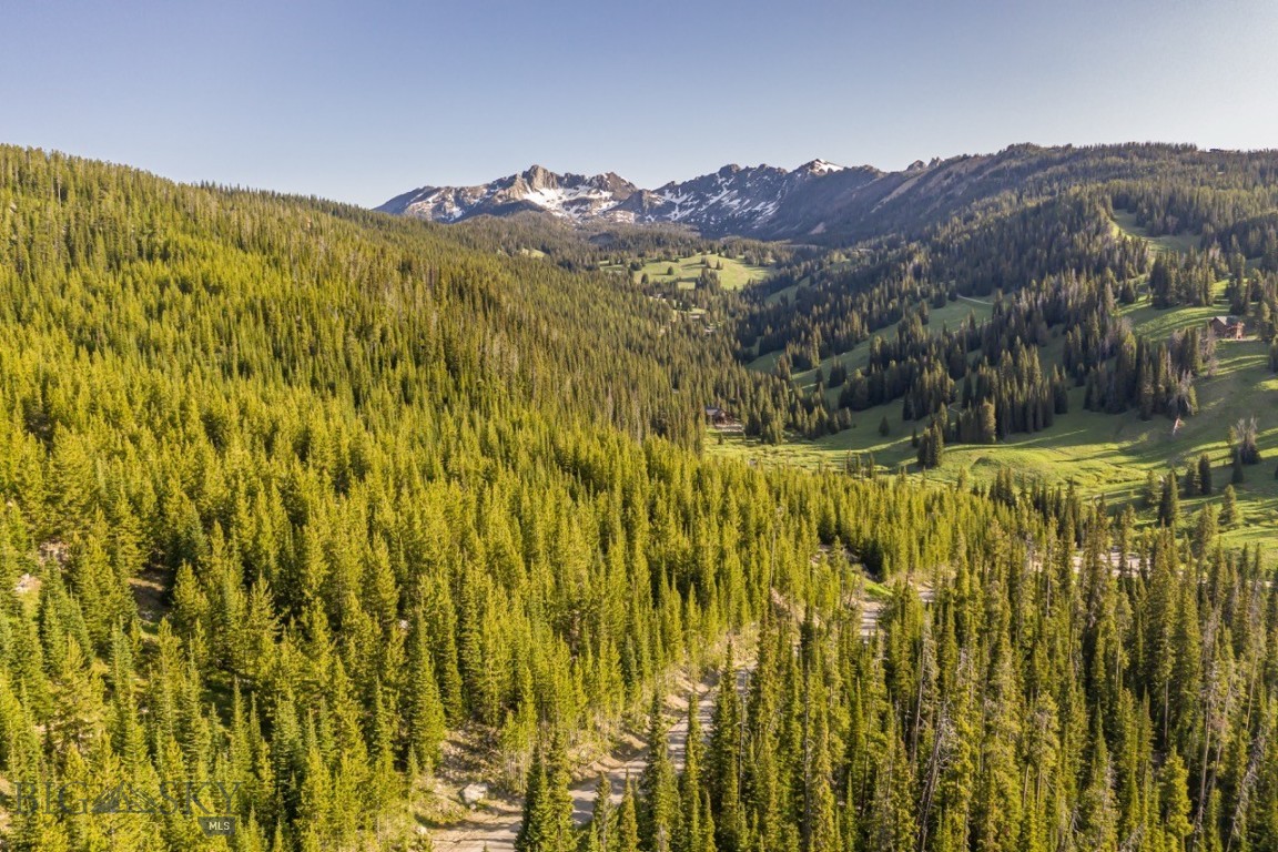 Big Sky Real Estate Co.