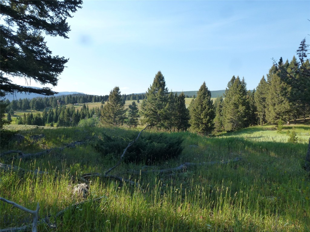 Big Sky Real Estate Co.