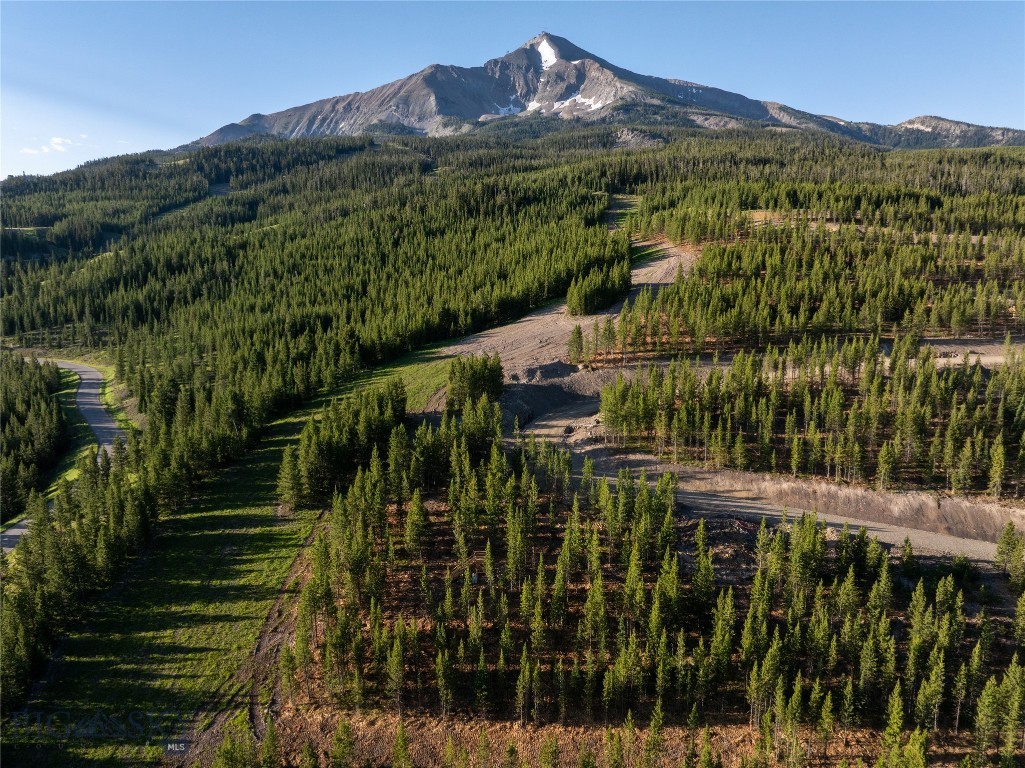 Big Sky Real Estate Co.