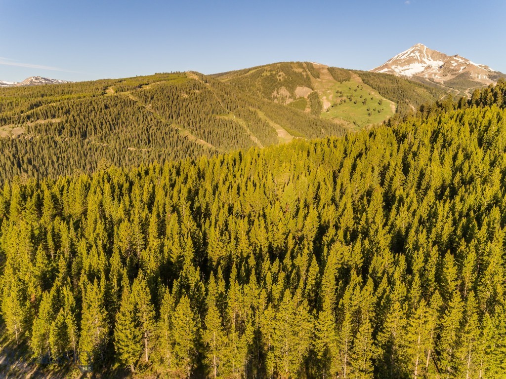 Big Sky Real Estate Co.