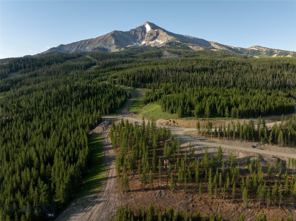 Big Sky Real Estate Co.