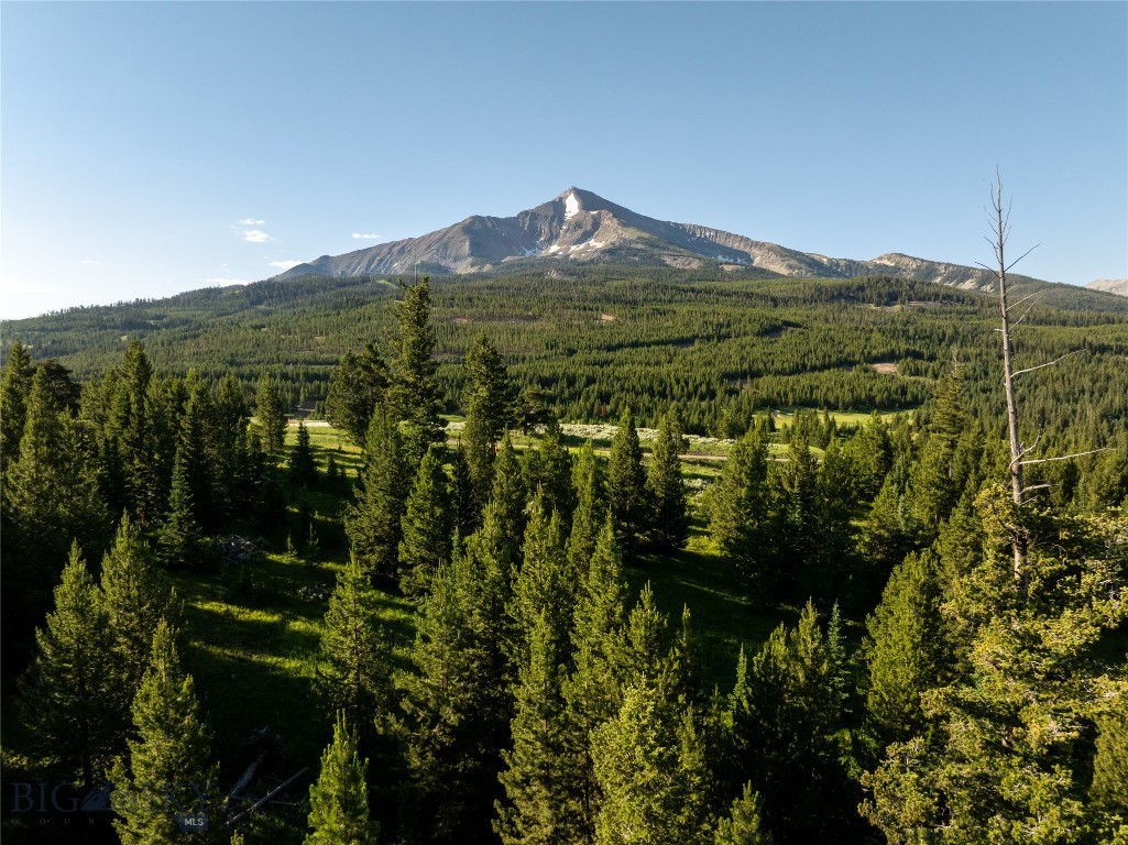Big Sky Real Estate Co.