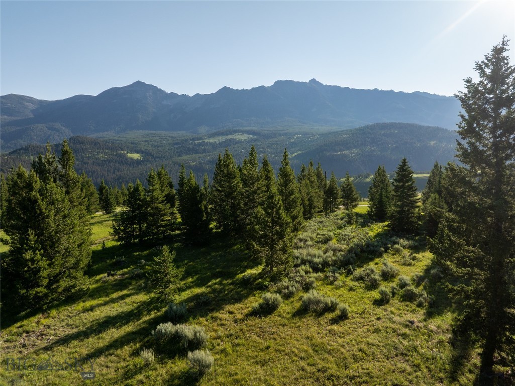 Big Sky Real Estate Co.