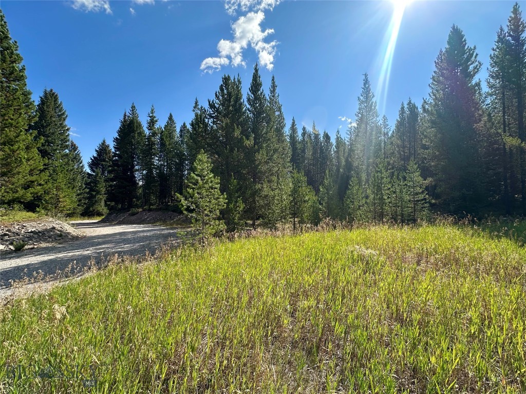 Big Sky Real Estate Co.