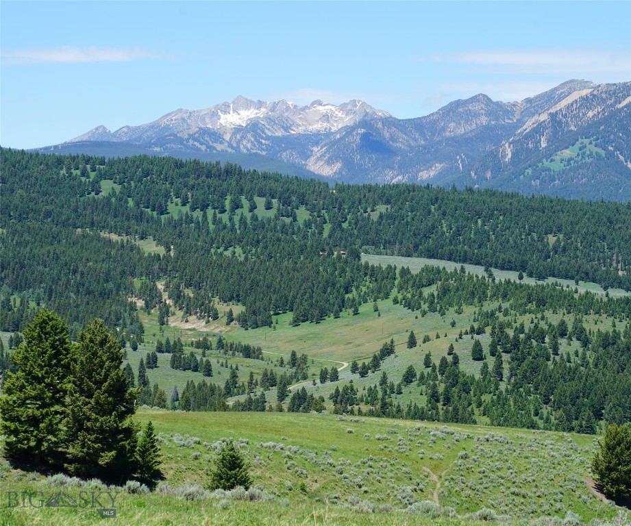 Big Sky Real Estate Co.