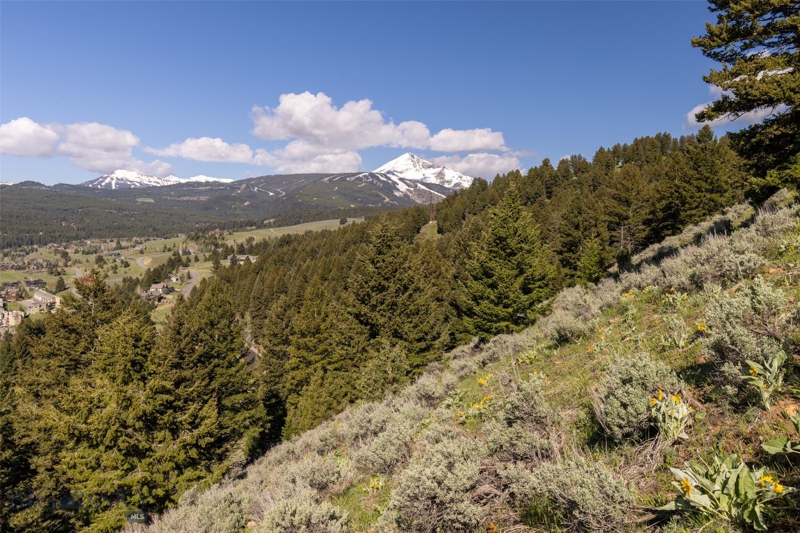 Big Sky Real Estate Co.