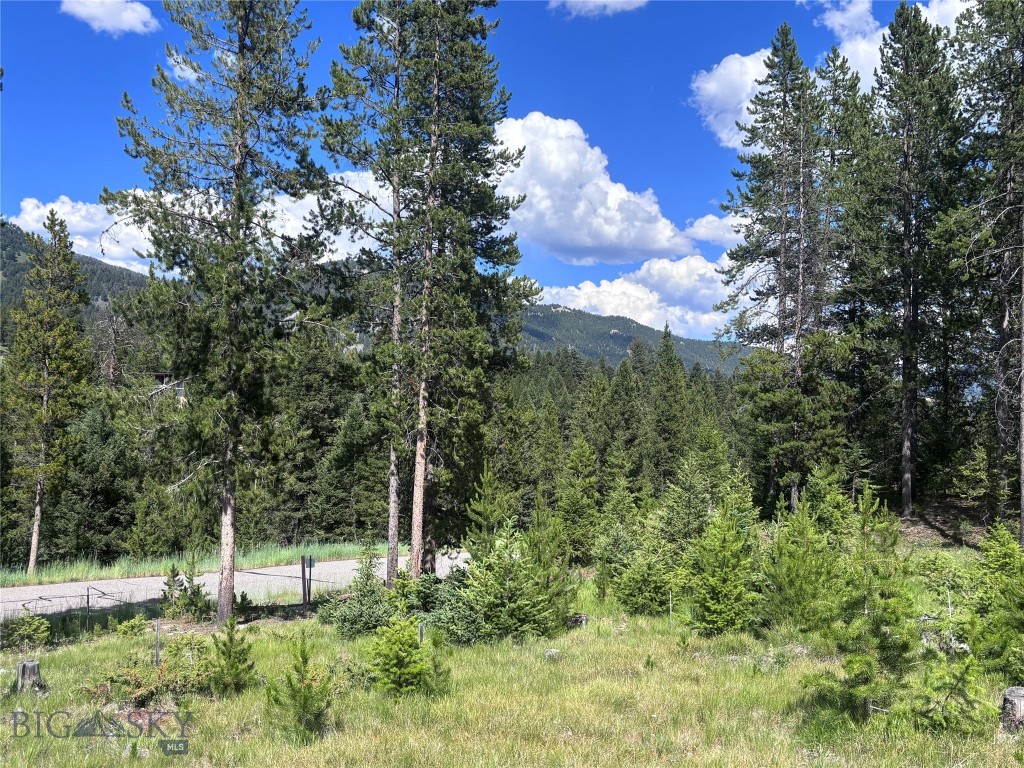 Big Sky Real Estate Co.